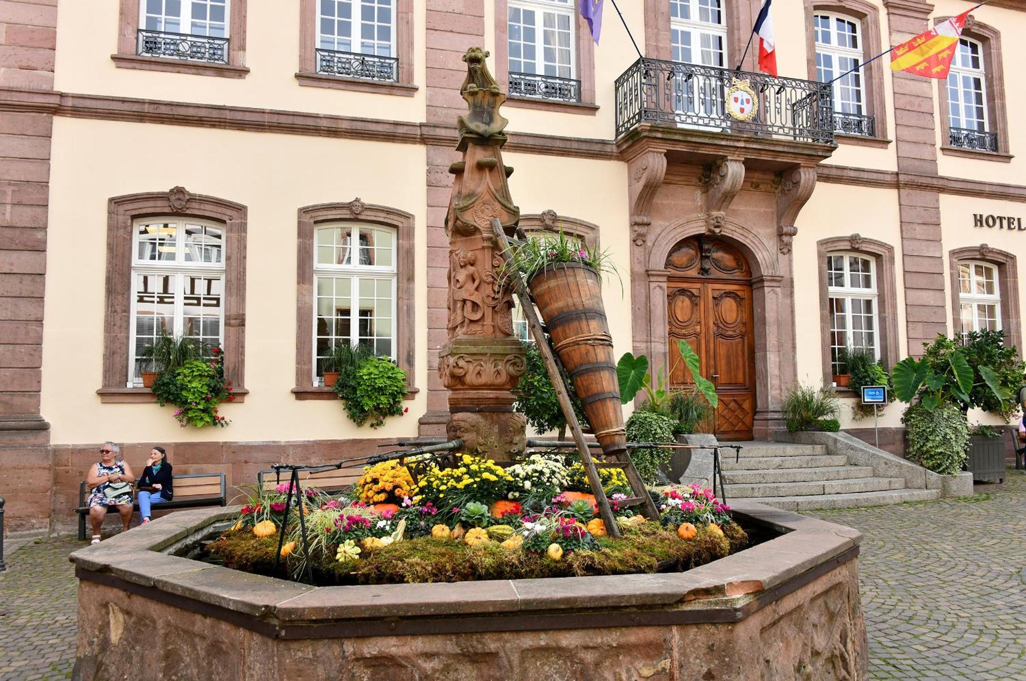 Appartement Au Nid d'Hirondelles à Ribeauvillé Extérieur photo